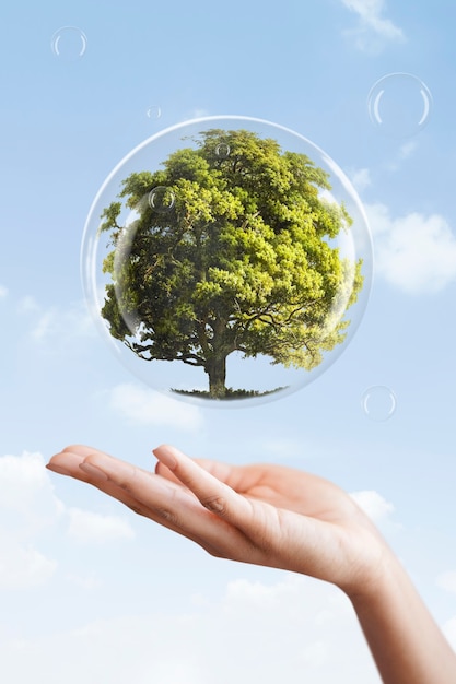 6 Remarkable Advantages of Operating a Sustainable Business