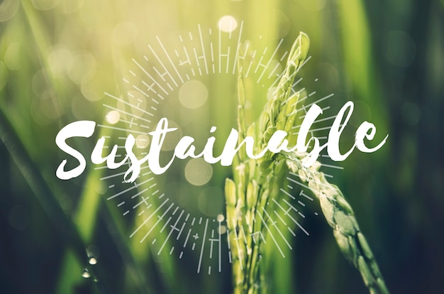 Is Your Brand Eco-Friendly? Understand Your Business's Environmental Impact